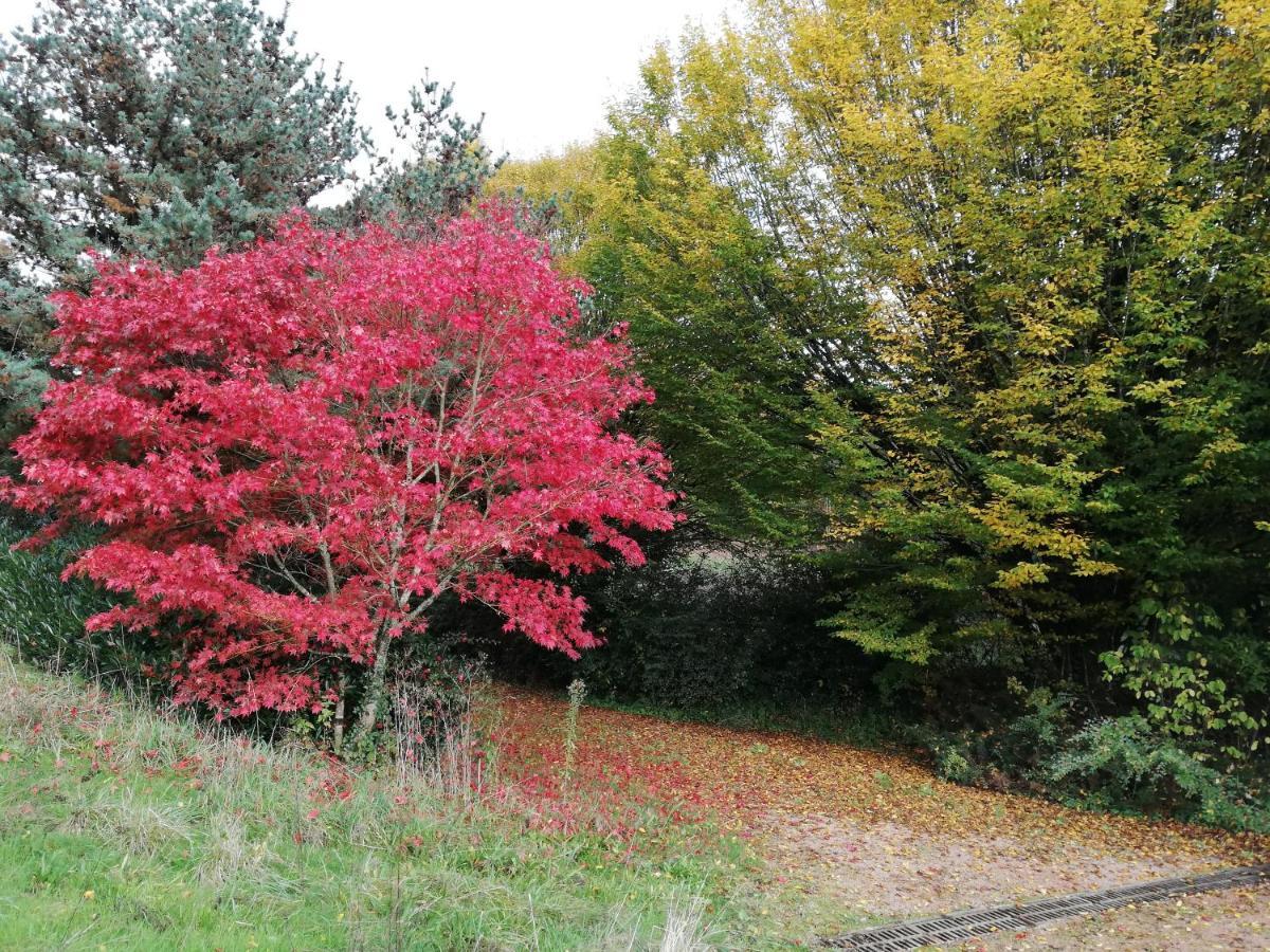 Le Gite Du Parc La Coquille Exteriér fotografie